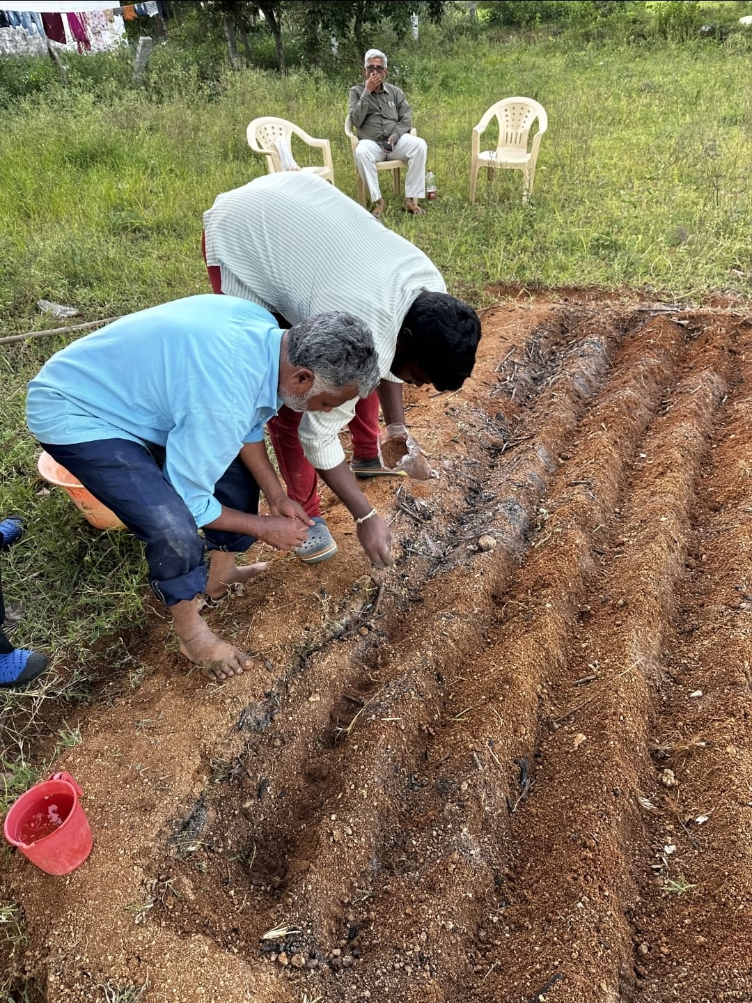 Field Training — Organic Manure Preparation